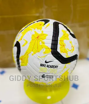 Premier League Soccer Balls