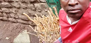 Mukombero Fresh Roots and Powder