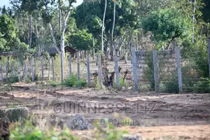 Faulu Estate Phase 2 Fully Served Plot Tezo Kilifi