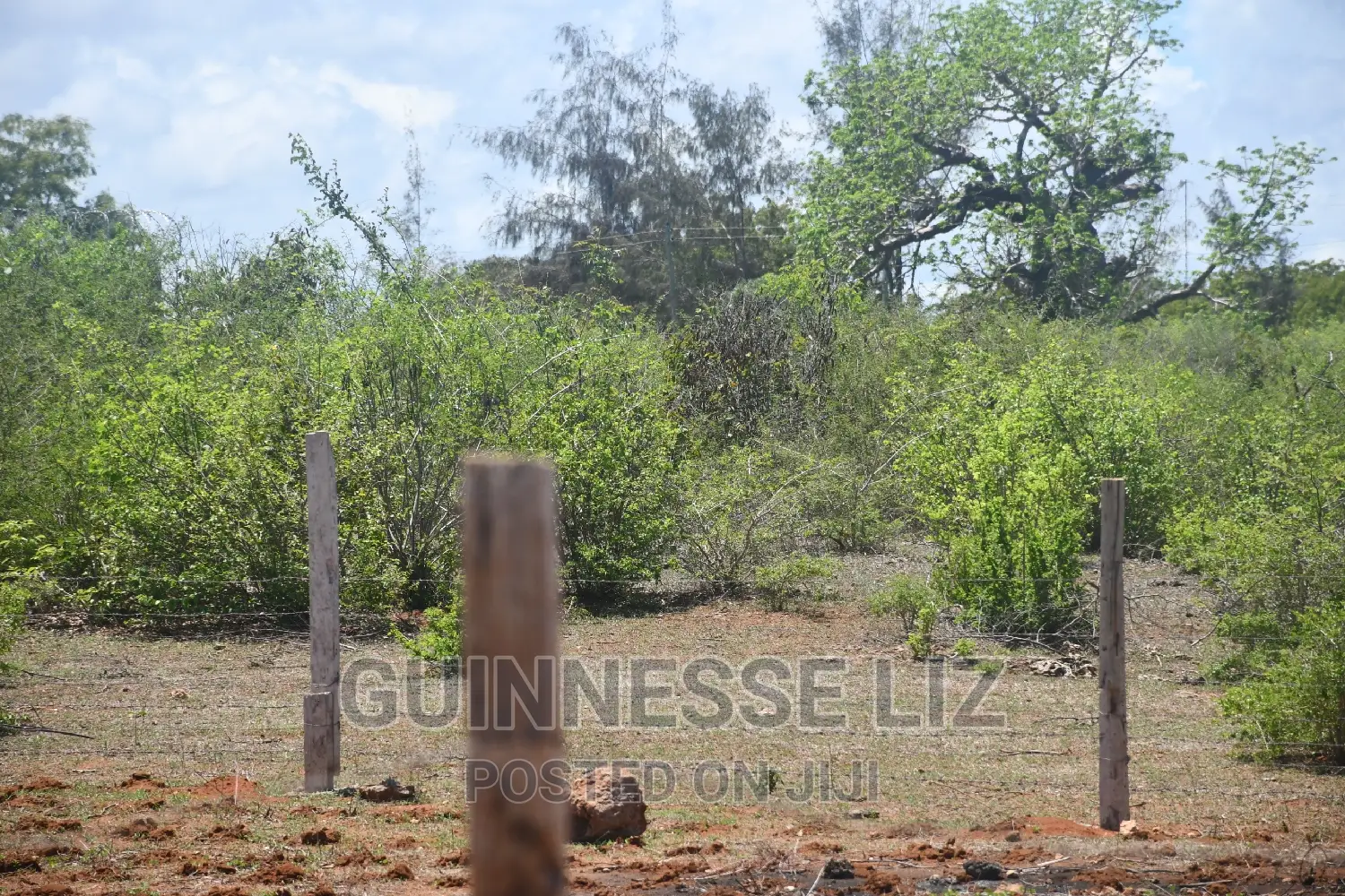 Bofa Plots for Sale B69 Route