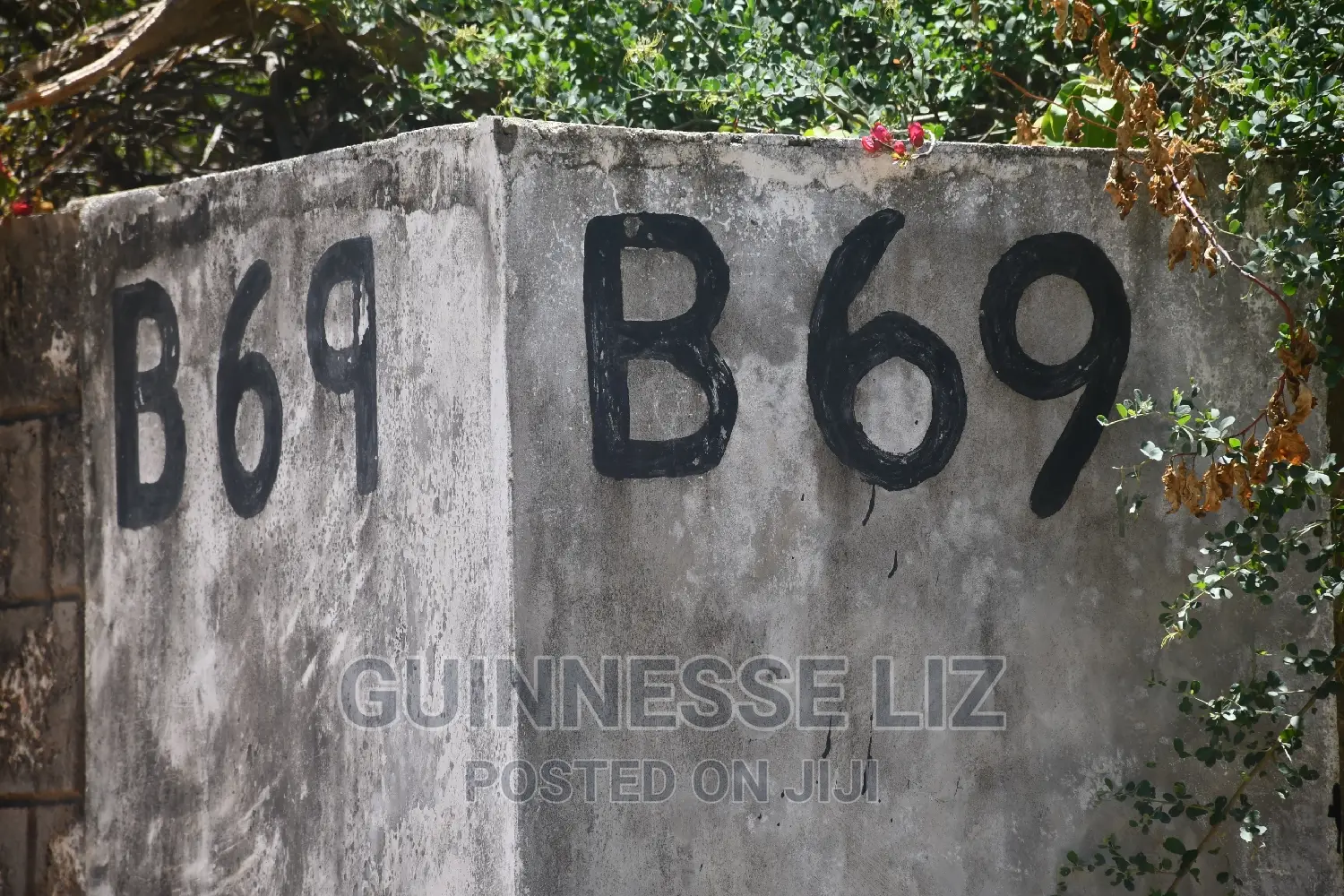 Bofa Plots for Sale B69 Route