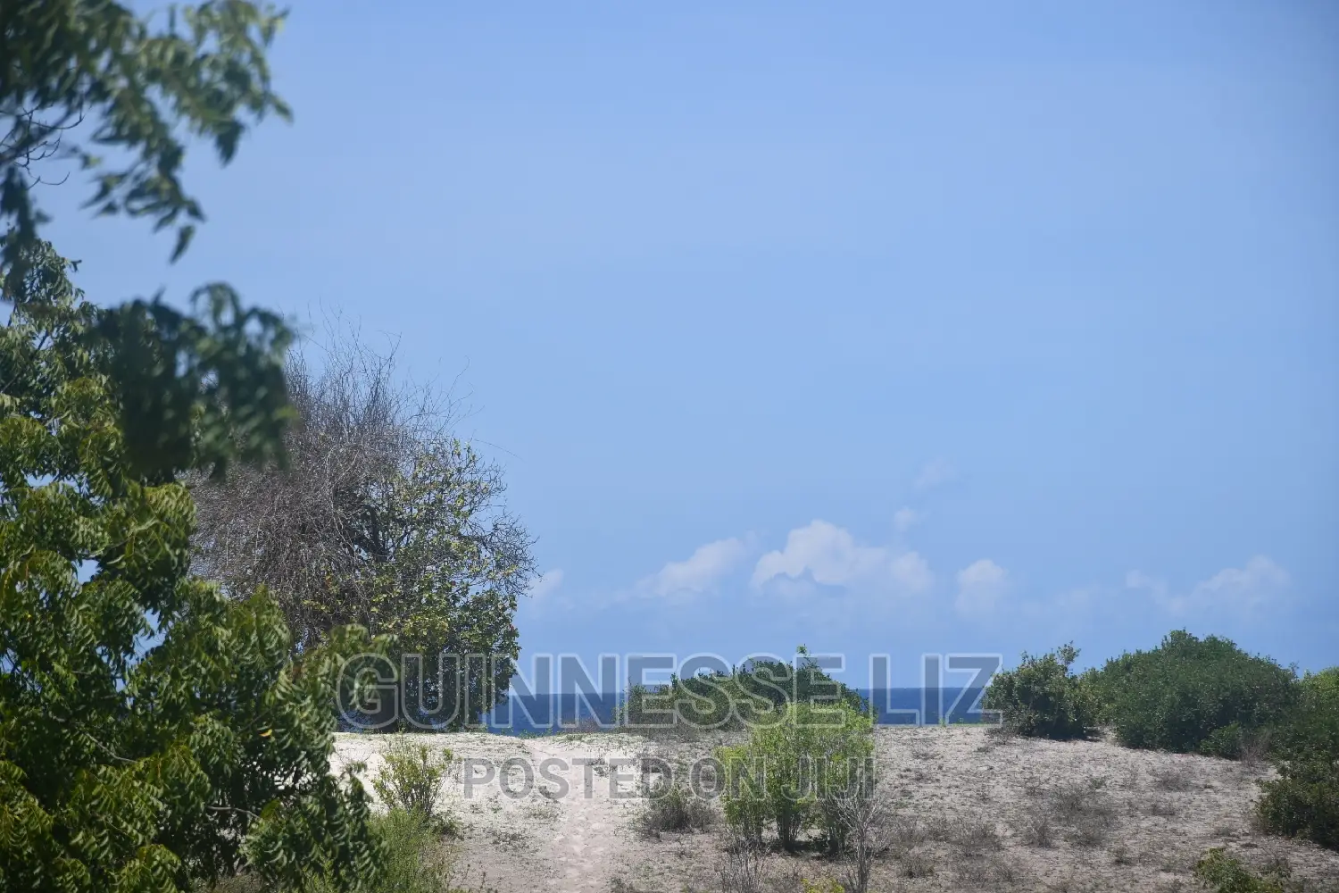 Bofa Plots for Sale B69 Route