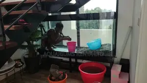 Regular Aquarium Maintainance (Cleaning and Treatment)