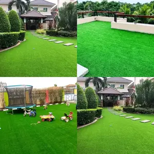Grass Carpet Grass Carpet Grass Carpet Grass Carpet Grass