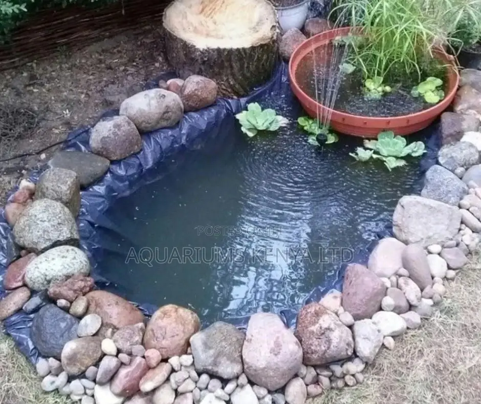 Garden Fish Ponds Mini.