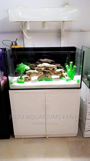 Beautifully Set Up Aquarium - thumbnail 2