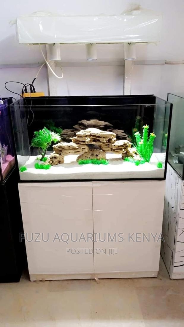 Beautifully Set Up Aquarium