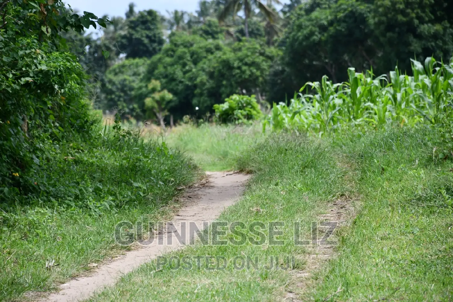 Kikambala 1/4 Acres Prime Plots for Sale