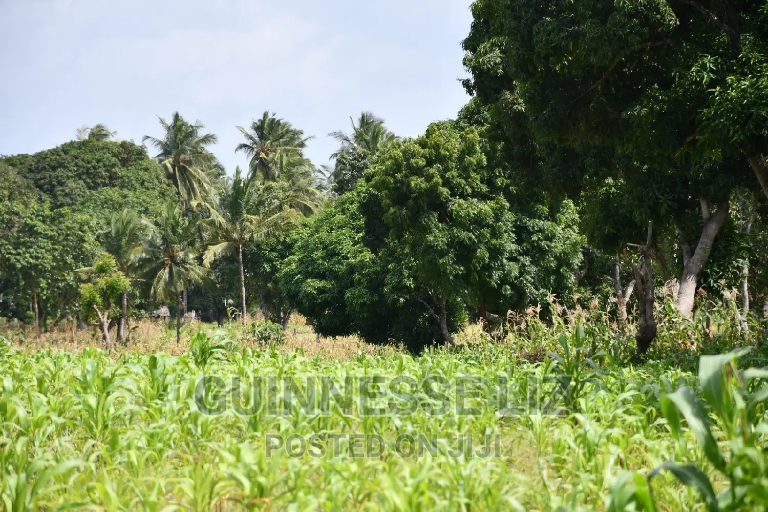 Kikambala 1/4 Acres Prime Plots for Sale