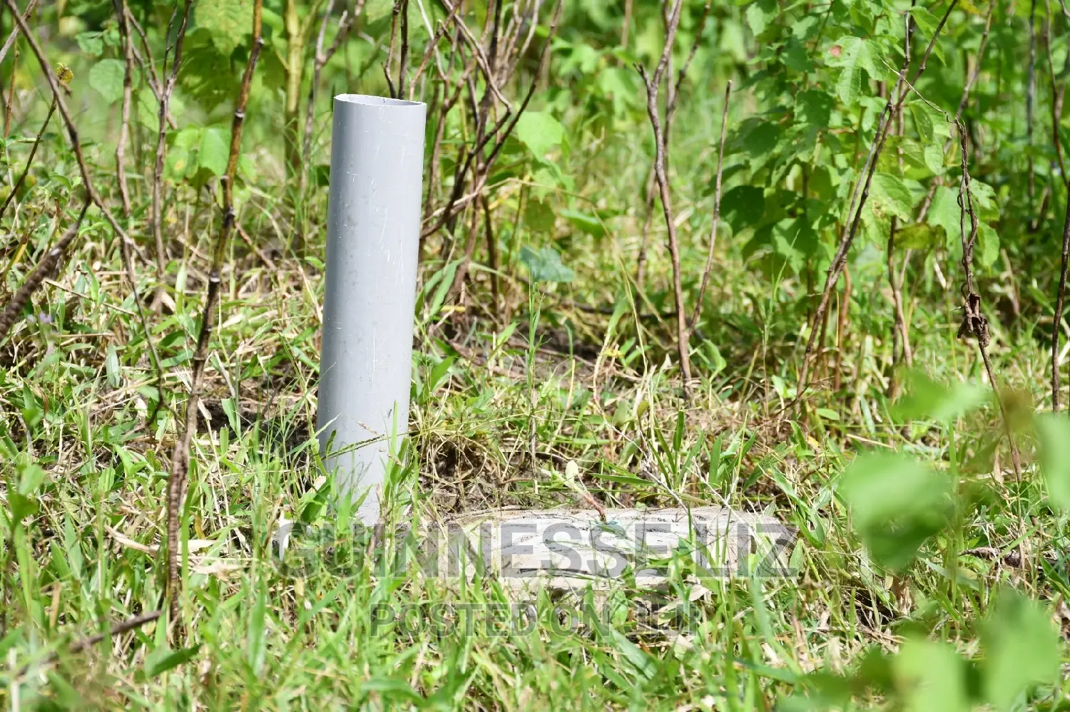 Kikambala 1/4 Acres Prime Plots for Sale