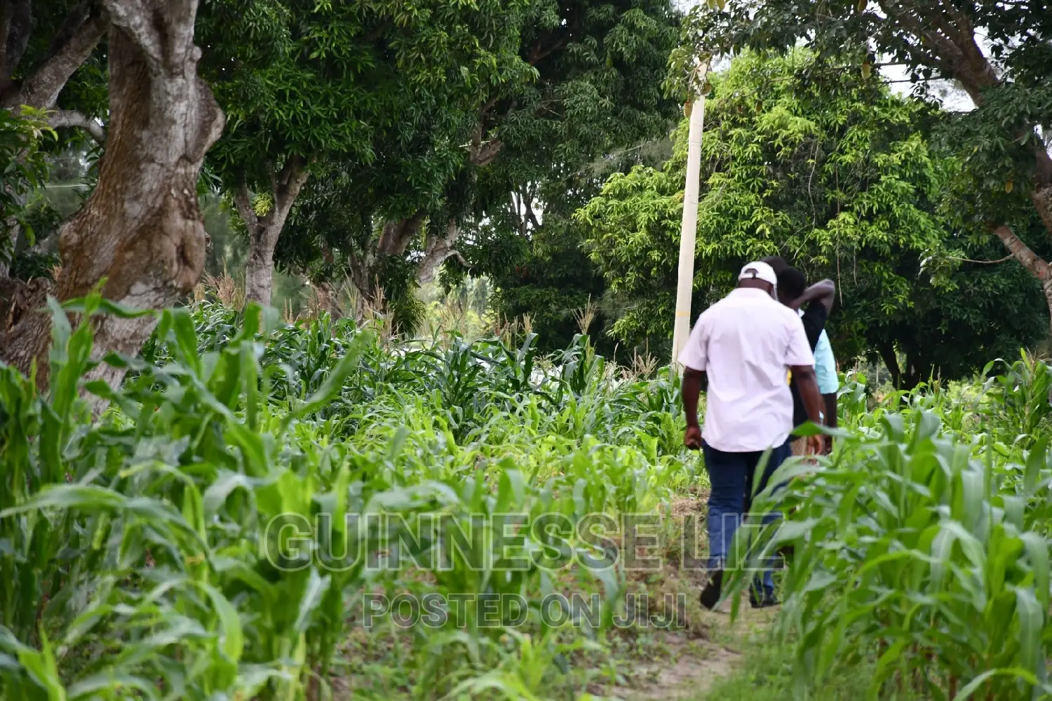 Kikambala 1/4 Acres Prime Plots for Sale
