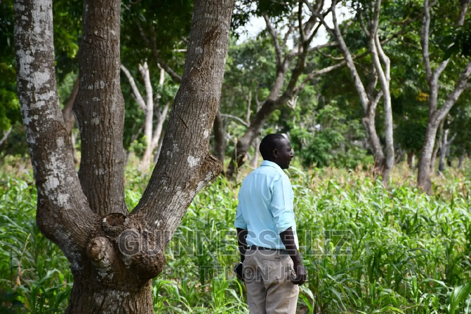 Kikambala 1/4 Acres Prime Plots for Sale