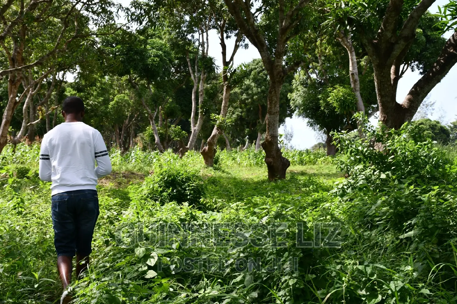 Kikambala 1/4 Acres Prime Plots for Sale