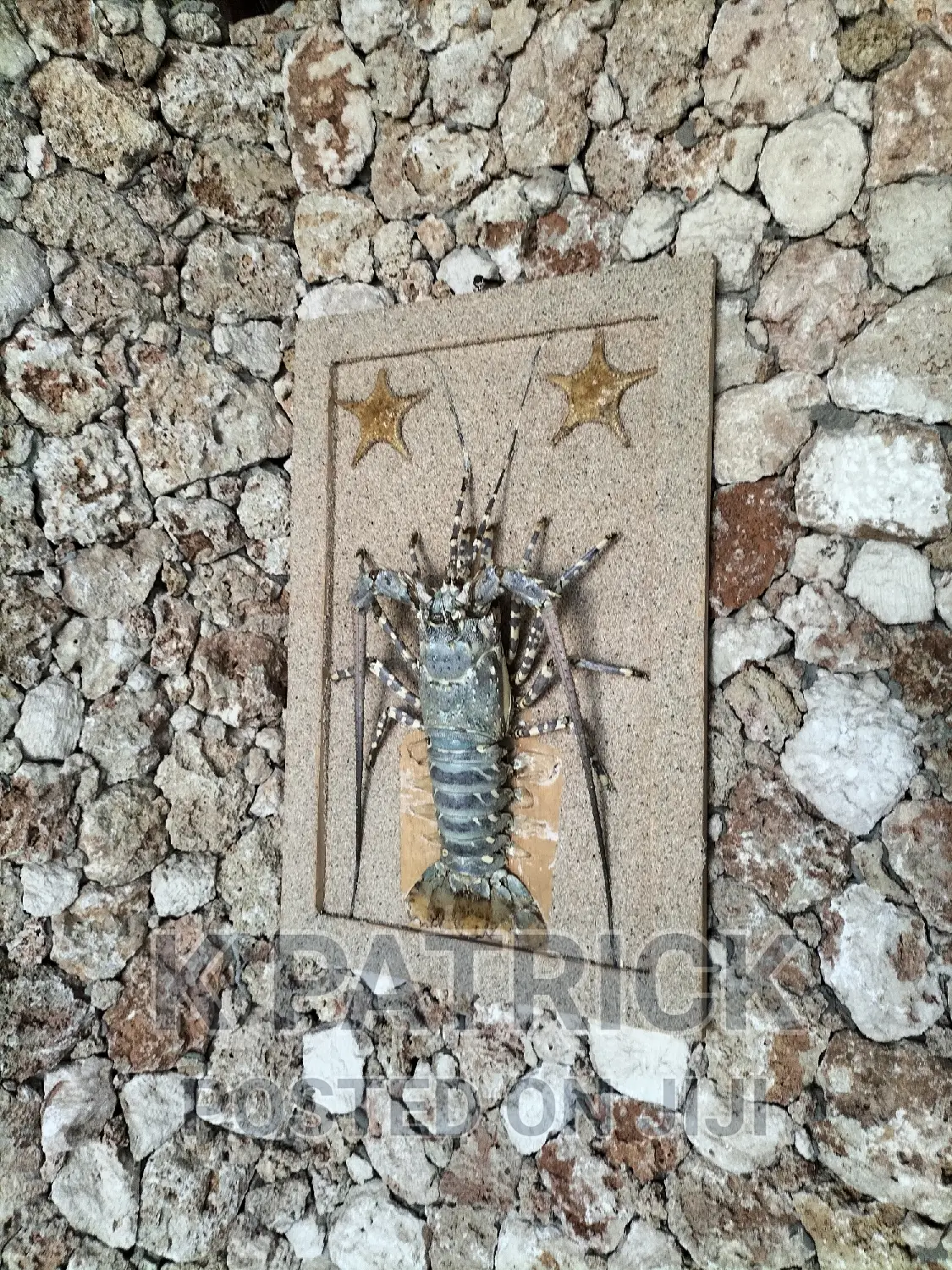 Arica Palm Villa Watamu
