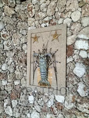 Arica Palm Villa Watamu
