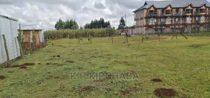 1⁄8 Second Plot Tarmac on Sale in Kibulgeny Kiplombe Eldoret