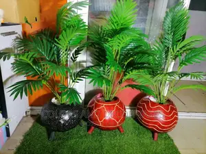 Calabash and Palm Trees on Offer