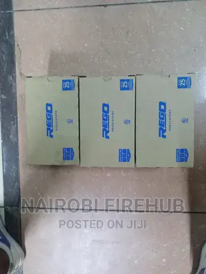 Low Pressure REGO Model 4403