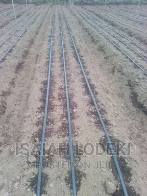 Drip Irrigation Installation Services