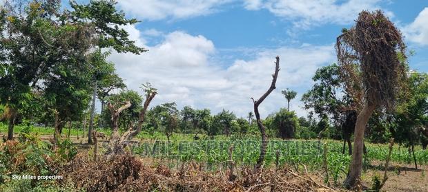 8-Acre Land on Sale in Mtwapa - thumbnail 20