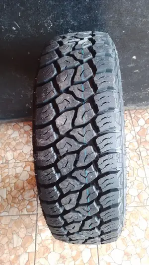 235/65r18 Bearway Tire