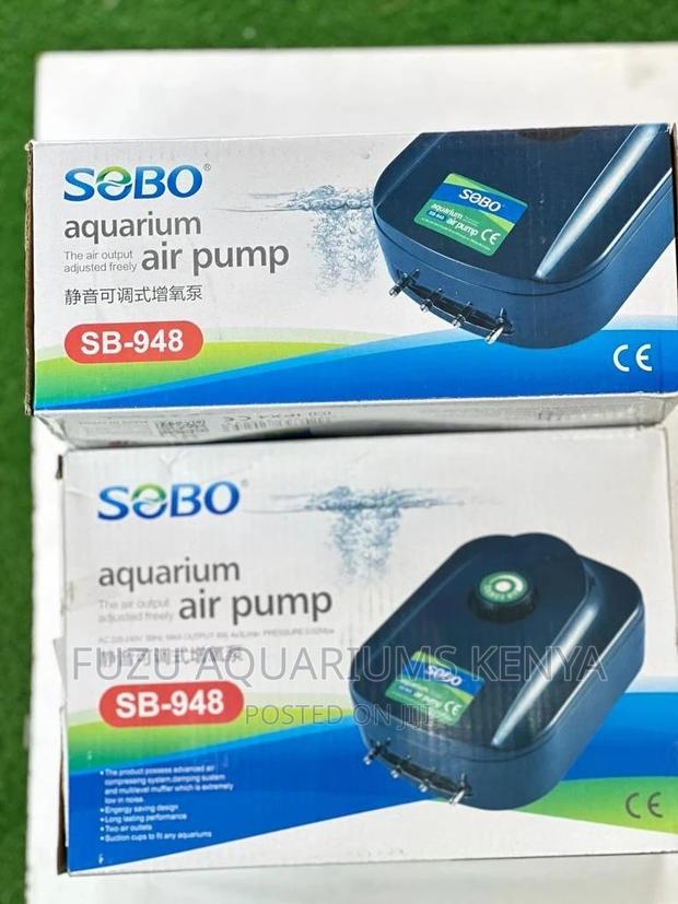 4 Outlet Airpump With Regulator