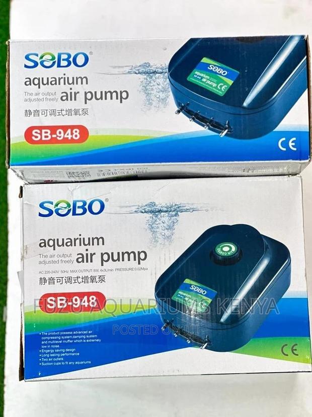 4 Nozzle Airpump With Adjustable Button