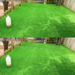 Grass Carpet Grass Carpet Grass Carpet Grass Carpet Grass