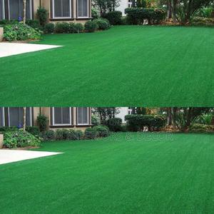 Grass Carpet Grass Carpet Grass Carpet Grass Carpet Grass - thumbnail 2