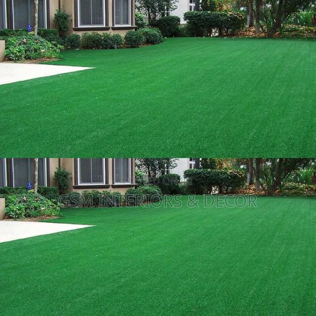 Grass Carpet Grass Carpet Grass Carpet Grass Carpet Grass - main view