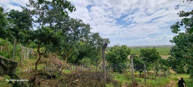 1.1 Acre,Mtwapa Creekside Beach Plot on Sale - thumbnail 4
