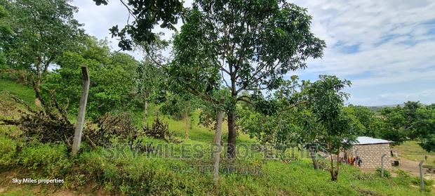1.1 Acre,Mtwapa Creekside Beach Plot on Sale - thumbnail 8