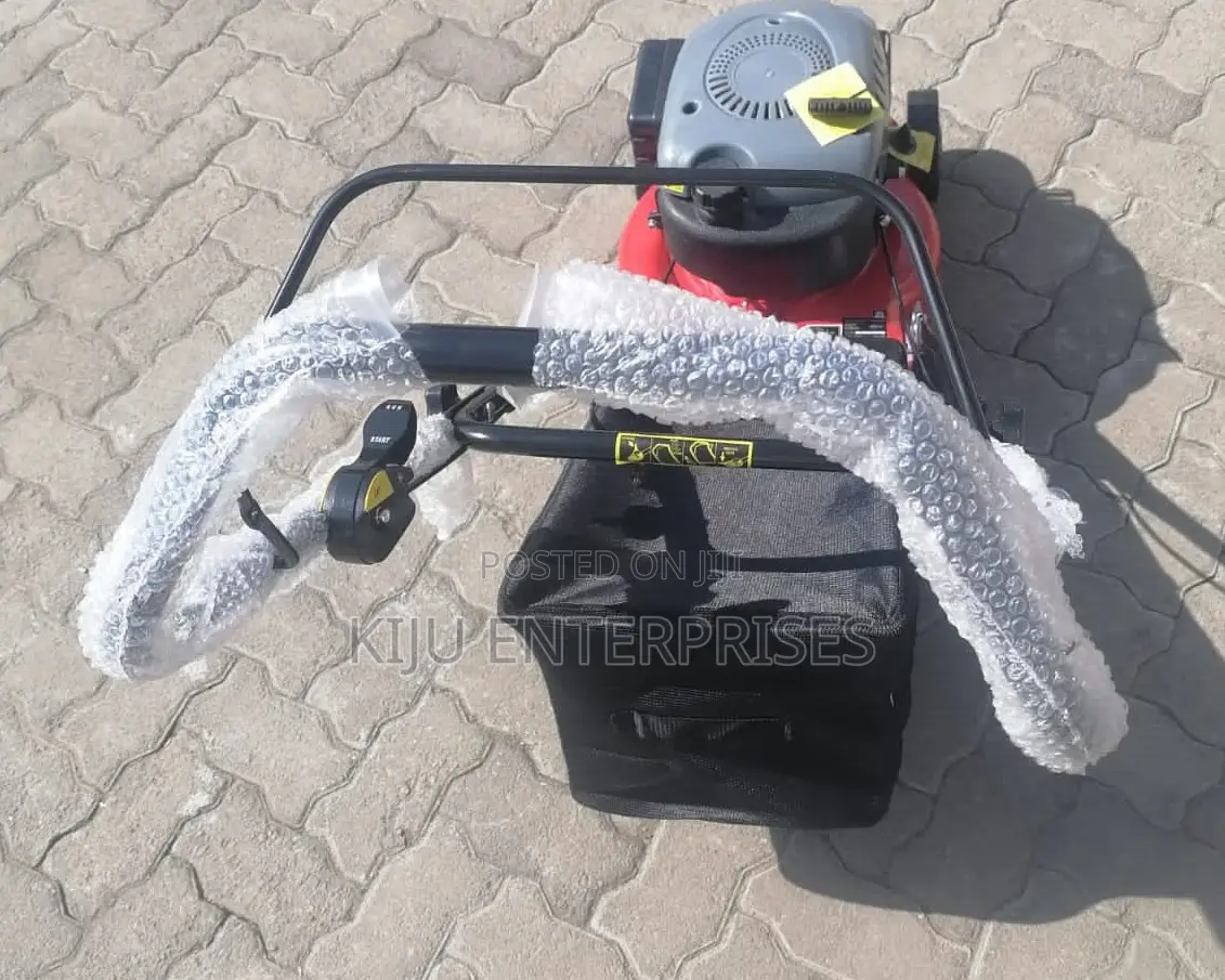 Lawnmower Hanseatic