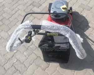 Lawnmower Hanseatic