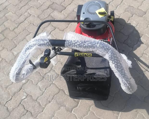 Lawnmower Hanseatic