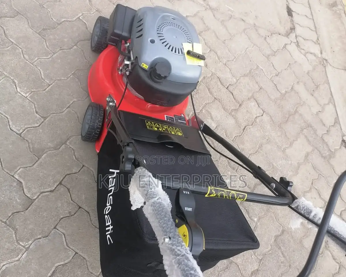 Lawnmower Hanseatic