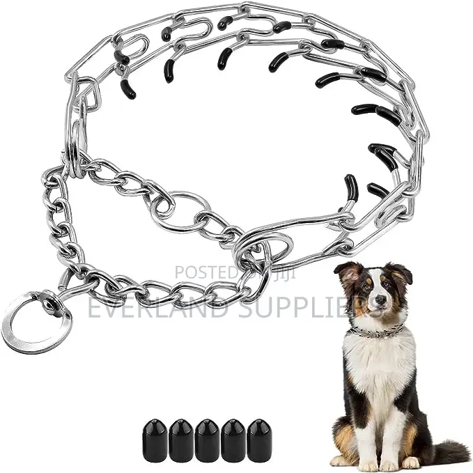 Prong Collar With Rubber Tips