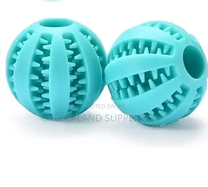 Fetch Treat Ball