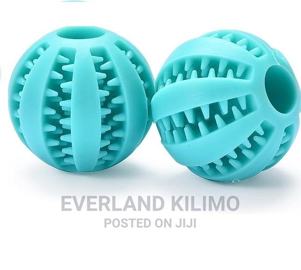 Fetch Treat Ball - main view