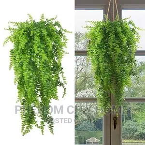 Hanging Vines With Vase