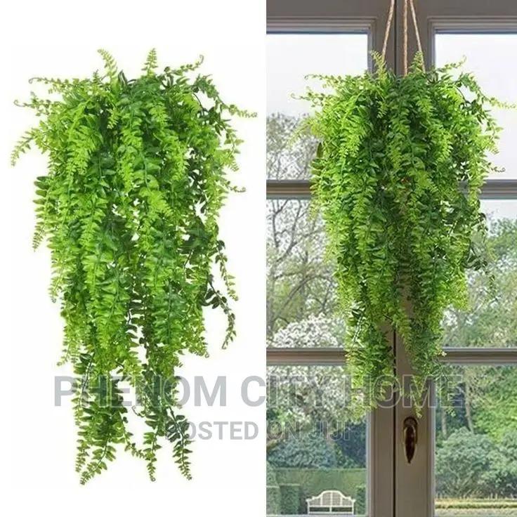 Hanging Vines With Vase
