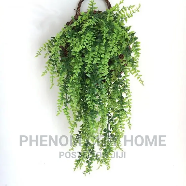 Hanging Vines With Vase