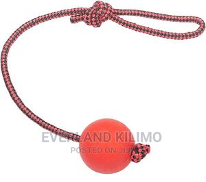 Tug Ball With Rope - thumbnail 2