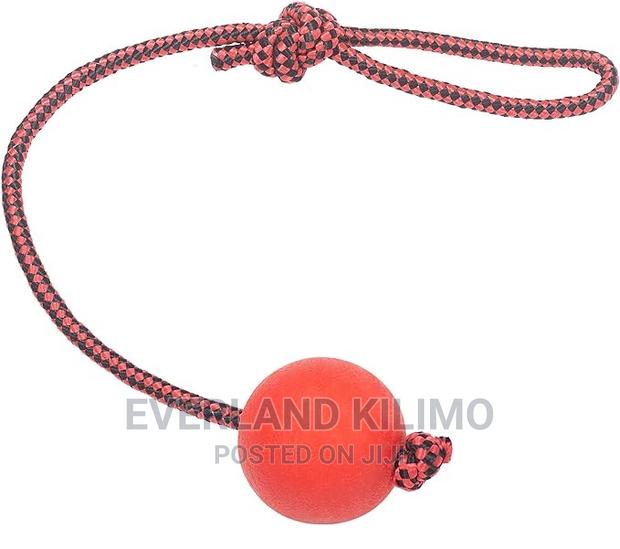 Tug Ball With Rope - main view