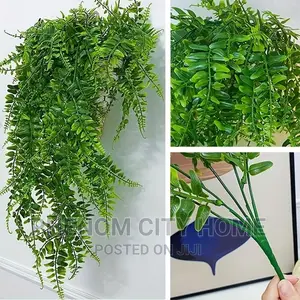 Hanging Vines