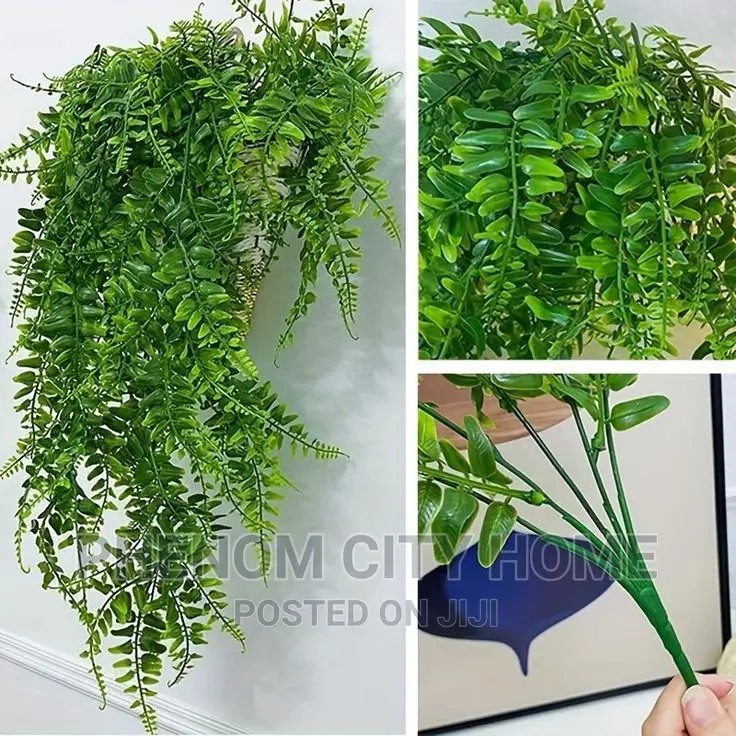 Hanging Vines