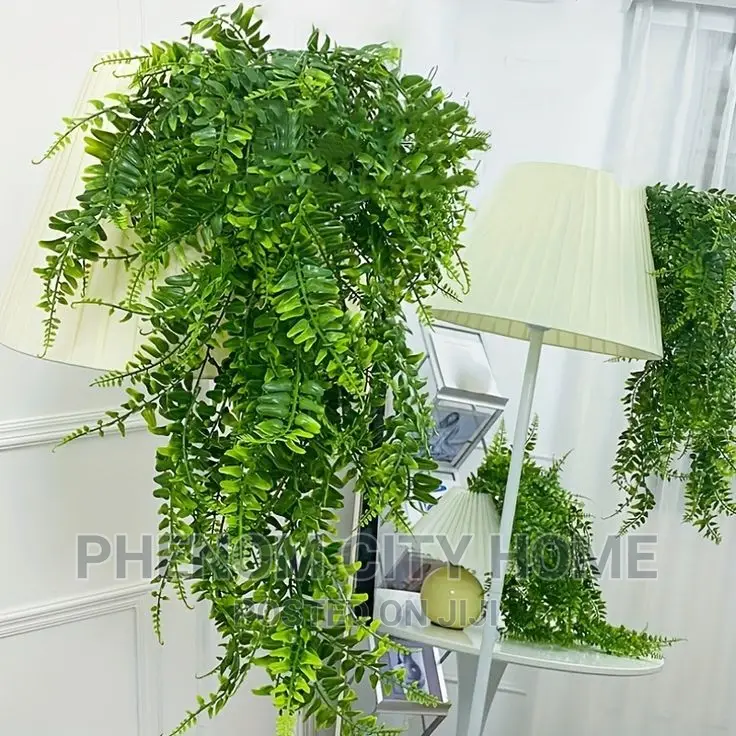 Hanging Vines