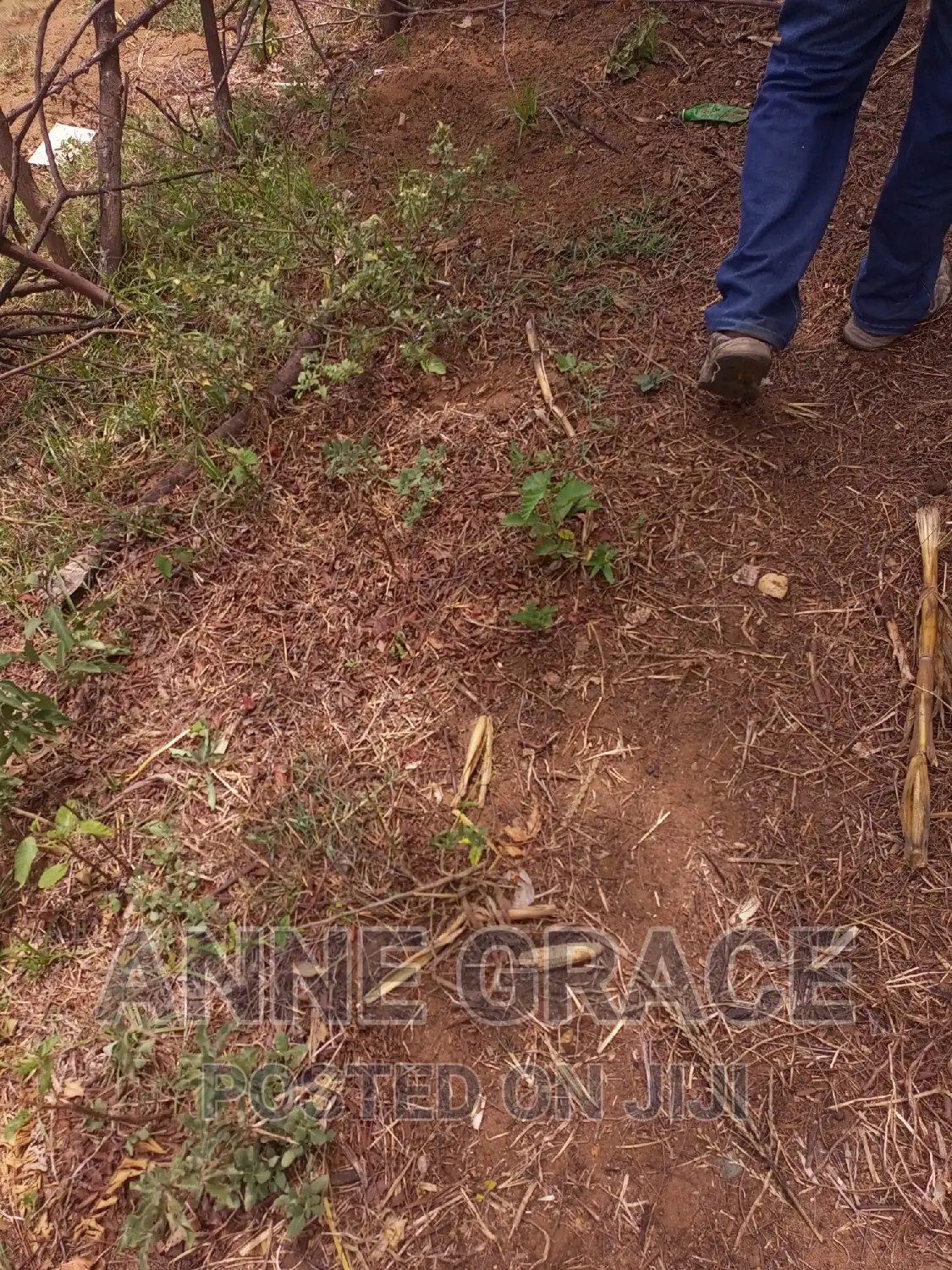 100acres for Sale
