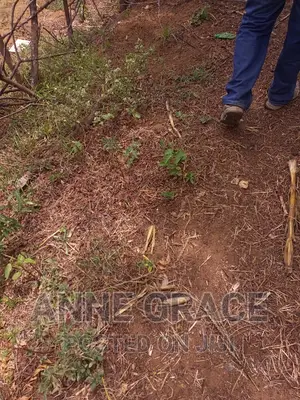 100acres for Sale