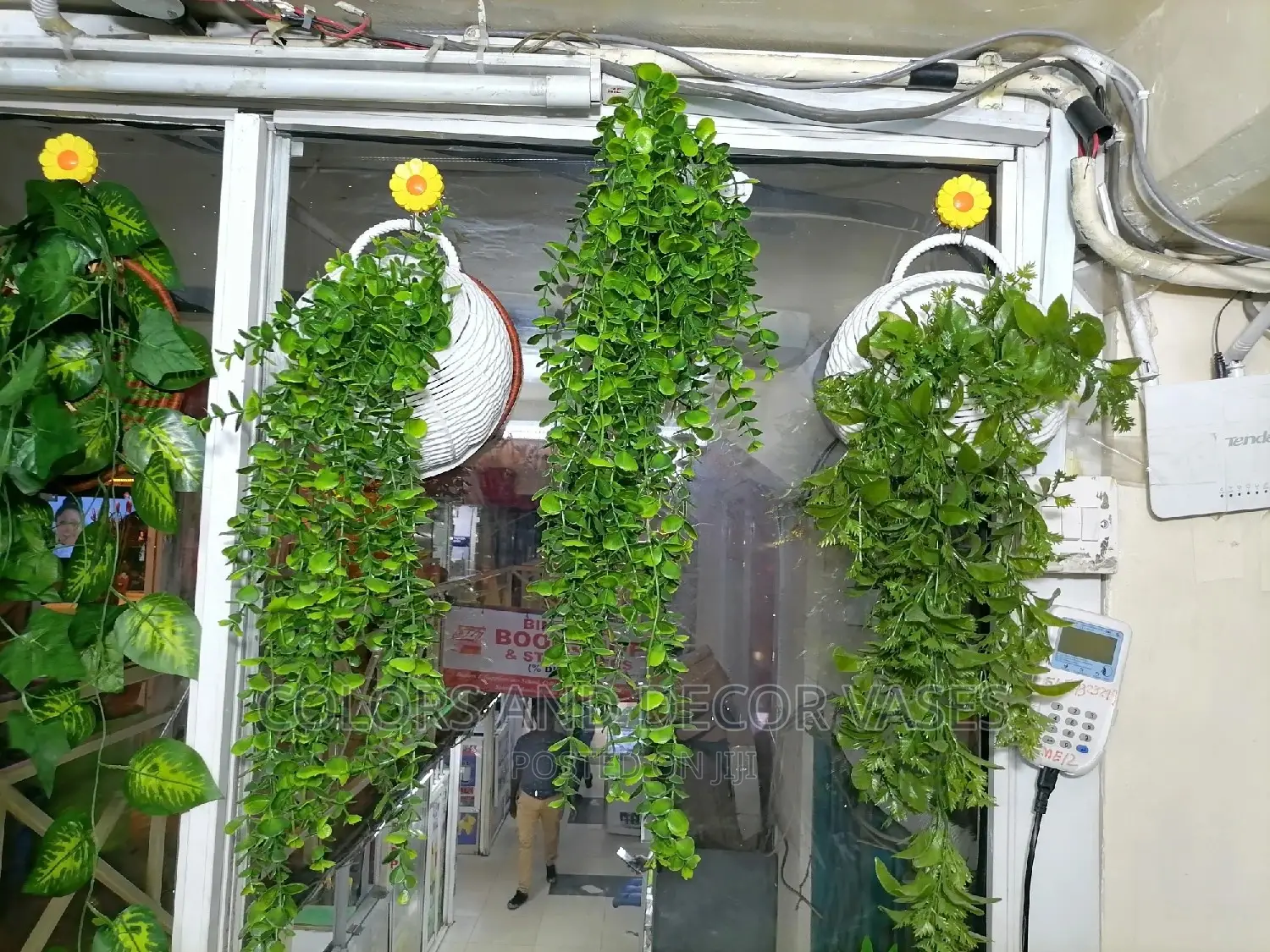 Vines and Vases